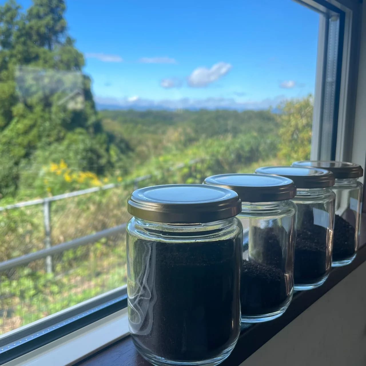 窓辺に並ぶ mine coffee のコーヒーと宮崎の景色