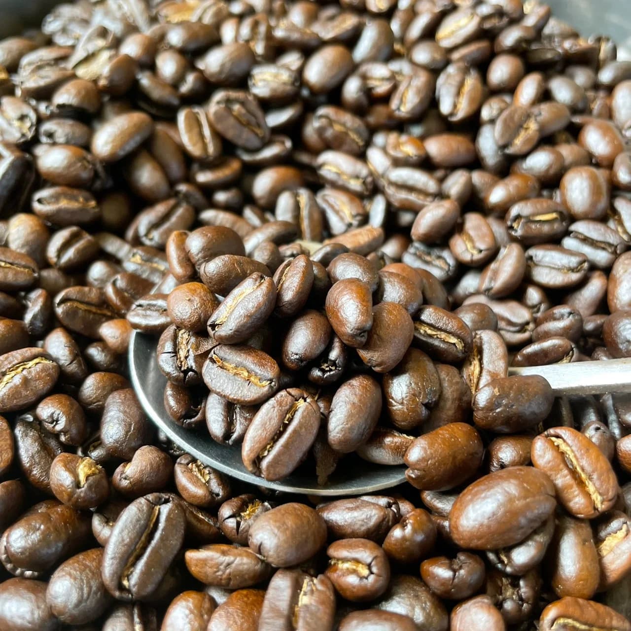 焙煎したての mine coffee のコーヒー豆